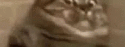 全村暴富! 加拿大小渔村”团购”彩票20年, 喜中$5000万!