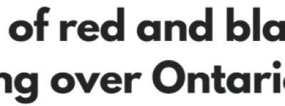 多伦多民宅遭”红黑虫”入侵! 快快修补外墙裂缝+门窗! 千万别碰!