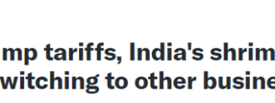 美国不要, 加拿大成”接盘侠”! 印度虾”占领”Costco、Loblaws超市