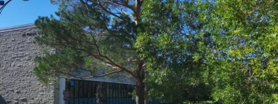 能劝一个是一个，没这个前提，千万别来加拿大