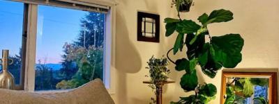 我为什么在加拿大陪读5年后回国？又为什么再次回加拿大？