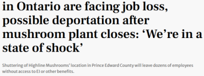 安省35年大型工厂突然关闭! 大批工人失业+面临遣返! 仅补偿$250
