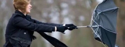 强风吹袭大温！加国人入美很快要拍照 雪鸟族南下愁翻天