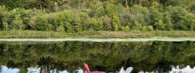 BC富豪与按摩师奢华孽缘终结！同居31个月，分走$500万！