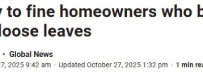 市政府新规生效: 房主不清理家门口这东西, 每次罚款$150