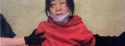 华人女子因与网友论坛对骂发展到法庭动刀被判12年，上诉被驳回