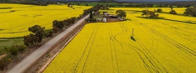 澳大利亚给中国发货，加拿大农民急了