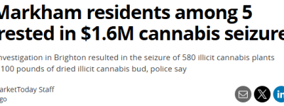 多伦多、万锦5名华人被捕！警方查获价值$160万非法大麻