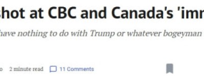 美副总统罕见开炮：加拿大移民太疯狂，生活水平下滑自找的！