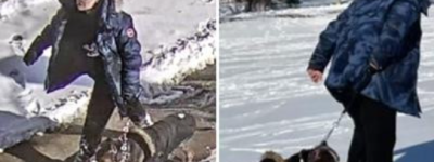 多伦多女子纵犬咬伤9岁男童逃之夭夭，监禁12个月+10年不许养狗