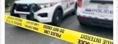 19岁男子开车撞树后身亡！汽车翻下路面坠入积水沟男子惨死