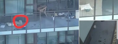 小猫被锁大温公寓阳台数月 引发众怒