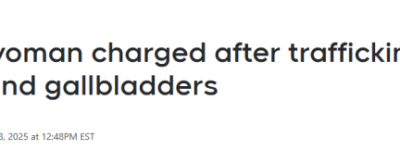 加拿大亚裔女子走私熊掌和熊胆: 判罚$1.2万+没收非法收入!