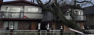 半夜轰然巨响！大树压塌温哥华华裔一家房屋