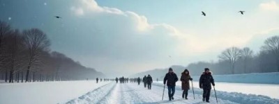 冻雨到零下50℃:加拿大正遭遇”最凶”的冬天