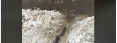 多伦多全城满地冰雪: 大批居民拿着铲子, 走上街道, 只为找它!