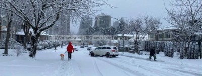 迎接2026年！盘点温哥华元旦当天开放和关闭的场所