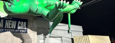 谁敢相信？BC省大批停电竟是这样引发的