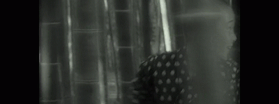 这样的电影，爱电影的人都无法拒绝吧