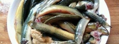 吃泥鳅到底用不用去内脏？
