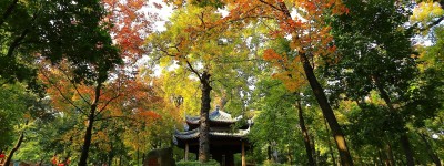 财力第一地级市：不是省会也没有机场，财政收入为何能超过广州