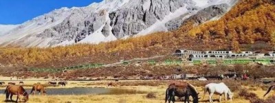 11个人少景美的旅行地，没有人潮涌动，风景却美得不动声色！