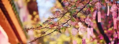 等疫情过后，春暖花开，我想带你去看看这8个地方的美景，可好？