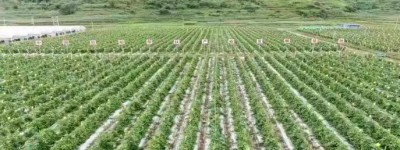 振兴路上真帮扶，中国船舶“爱心堰”浇出“幸福花”