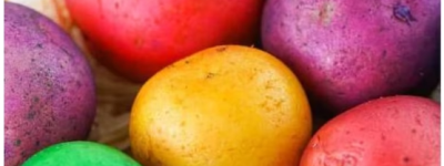 復活節買不起雞蛋  土蛋變雞蛋