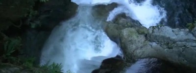 大溫熱門地跳崖可能致命   導致250 人死亡