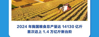 中央廣播電視總台發布2024國內、國際十大新聞