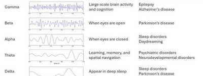 当AI遇见大脑：电脑与人脑协同“进化”