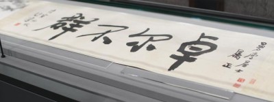 “马万里书画篆刻精品展”在广西南宁举办