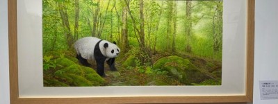 沈阳：用水彩绘本艺术之美唤醒人们对自然的敬畏和向往