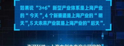 抢占未来产业｜上海闵行：科创优等生的成长烦恼