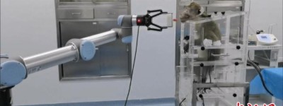 中国完成全球首例介入式脑机接口非人灵长类动物试验