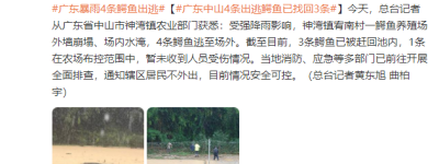 广东中山神湾镇农业部门：养殖场4条出逃鳄鱼已找回3条，暂未收到人员受伤情况
