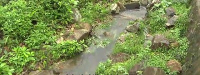 【時事多面睇】大浪灣村村長憂雨季河溪淤塞 當局稱會再清除溪流上游沙石