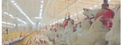 2025最新疫情警示！加拿大爆罕见病毒重症，病毒变异直攻呼吸道