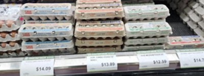 美国鸡蛋短缺贵成天价，为何不从加拿大进口？