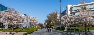 留学生遭遇令人不安！大温两所私立大学 被令退还学费！