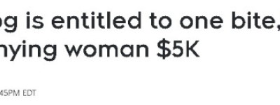 加拿大华人被狗咬，索赔5000刀被拒！因”每只狗都有咬一次机会”