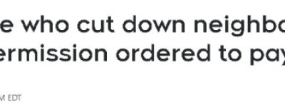 邻居擅自砍掉5棵大树！加拿大女子怒告索赔10万，法官这样判