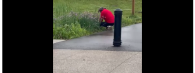 万锦老太在公园”狂刨”！网友：太不要脸！快把你妈领回家！