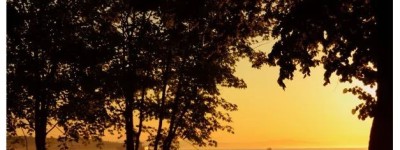 加拿大政府发出警告：50岁以下自杀已成第二大死因，75%是男性