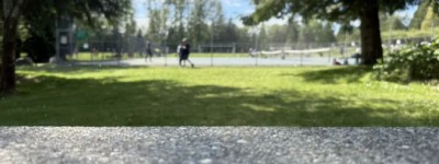 卡在了加拿大，不想留，又离不开