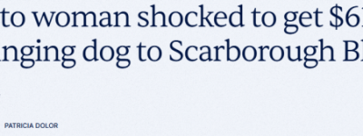 多伦多妹子带狗去沙滩被罚$615！网友炸了：有人挖洞拉屎却不管