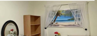 多伦多离谱出租房: 房东用”假窗户”糊弄人, 还要$900/月!