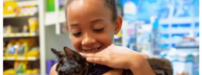 “爱猫之都”！PetSmart公布加拿大十大最宠猫的城市！
