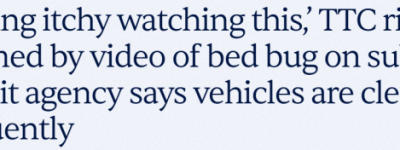 太恶心! 一只床虫爬上TTC座位! 多伦多网友吐槽: 看完视频浑身痒!